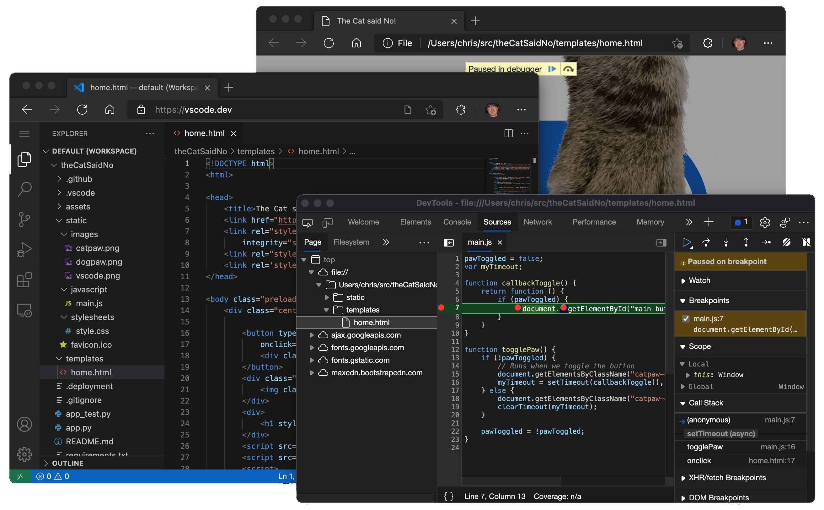 vscode.dev 中的“猫说不”应用程序源代码