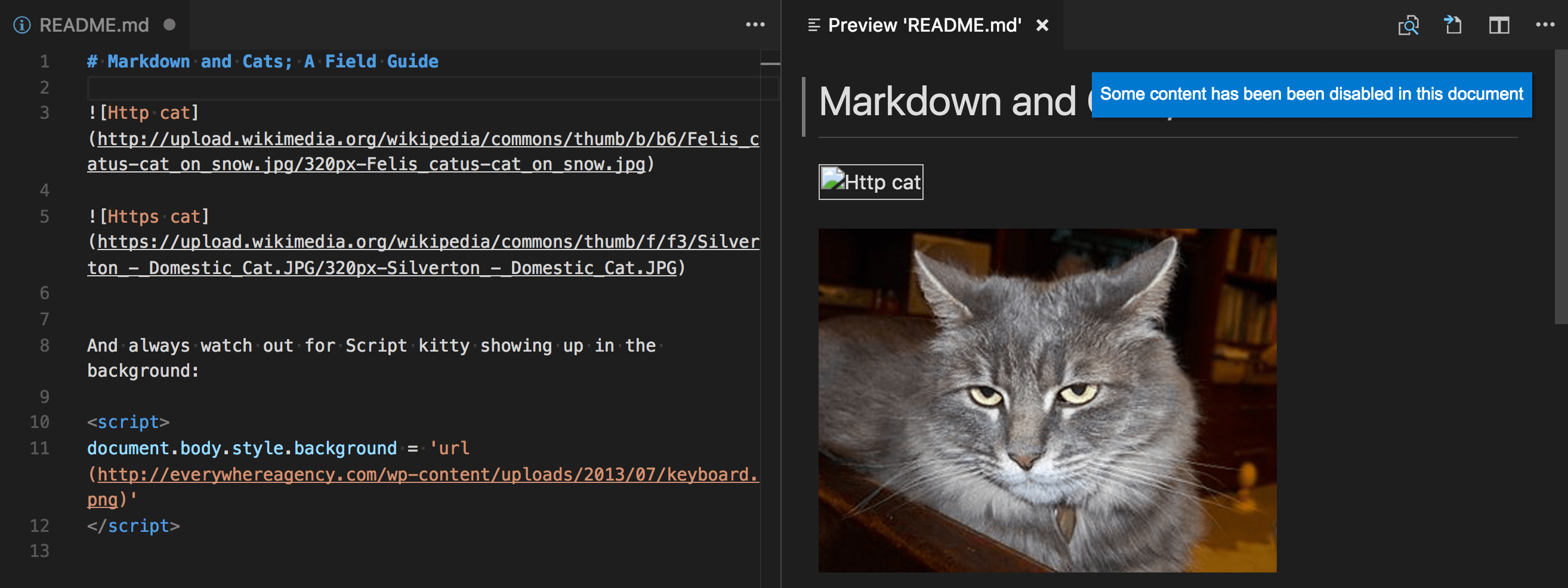 Markdown 安全警报