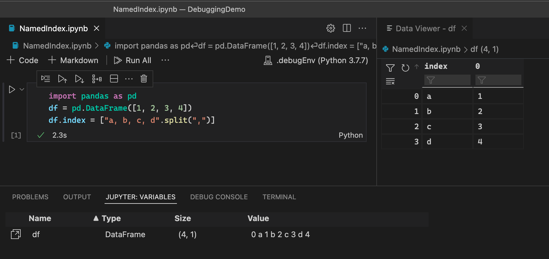 Jupyter 扩展数据查看器中的命名索引支持