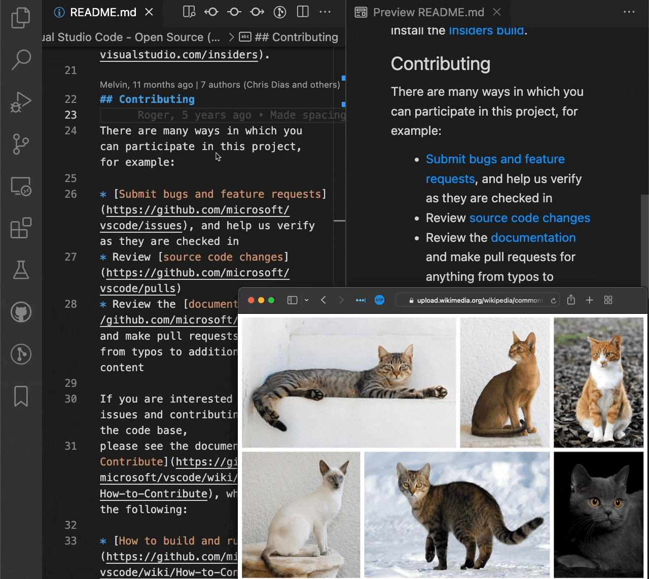 将图像从 Web 浏览器拖放到 VS Code 中以添加 Markdown 图像